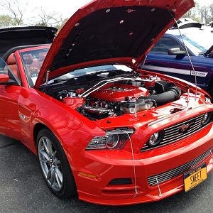 Stang gang wild horses splish splash2014