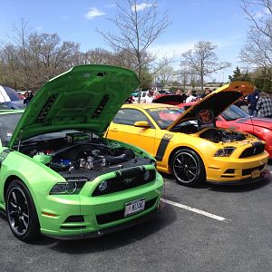 Slang Gang Wild horses