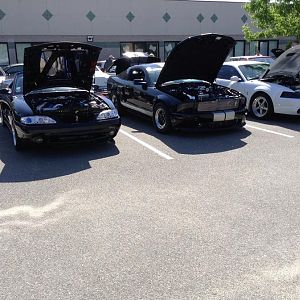 Jeff/Lou/Gonzo All American Mustang @AHRC