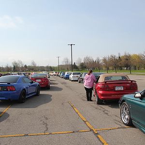 2014 50th Anniversary Mustang Show West Herr 020