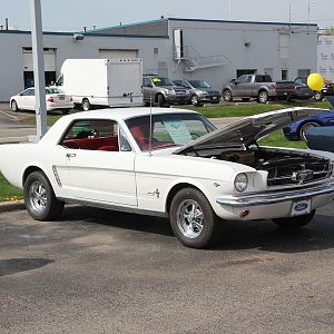 2014 50th Anniversary Mustang Show West Herr 021