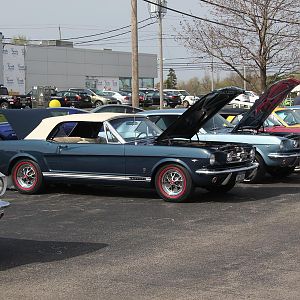 2014 50th Anniversary Mustang Show West Herr 022