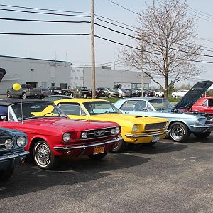 2014 50th Anniversary Mustang Show West Herr 023