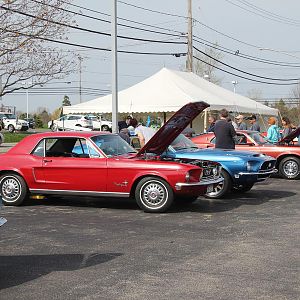 2014 50th Anniversary Mustang Show West Herr 024