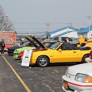 2014 50th Anniversary Mustang Show West Herr 028