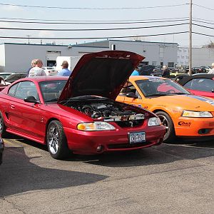2014 50th Anniversary Mustang Show West Herr 033
My 98 Cobra