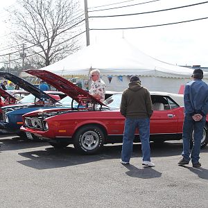 2014 50th Anniversary Mustang Show West Herr 047
