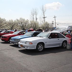 2014 50th Anniversary Mustang Show West Herr 054