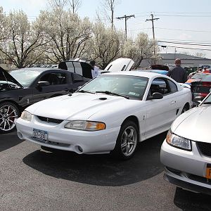 2014 50th Anniversary Mustang Show West Herr 056
