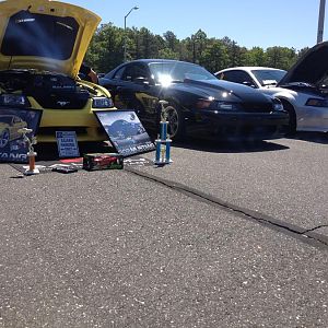 saleen/ supercharged gt and me