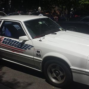 MoonlightCruisersPelham5