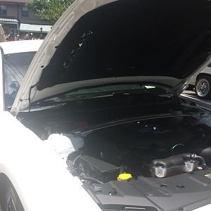 MoonlightCruisersPelham6