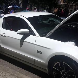 MoonlightCruisersPelham7