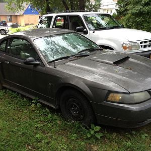 Poor car, Snagged it for $1000