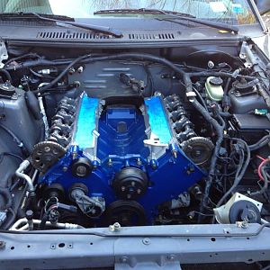 Finally dropped it in.