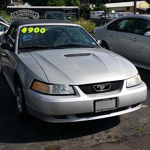The way I saw her at the used car dealership. She was begging to be loved.