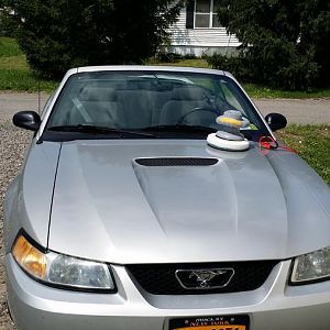 Polished her up and restored the headlights