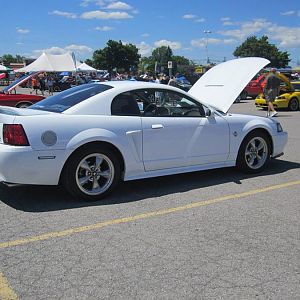 38th MCA show Buffalo