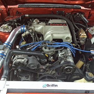 93 Cobra 302 w/ BBK Shorty Headers