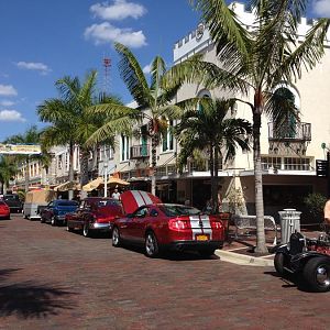 IMG 1431fort myers fl 2014