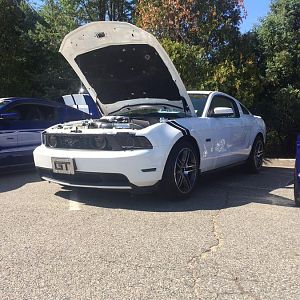 Steves ride (dadnpony)