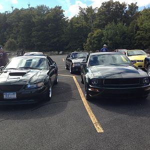 mustang show 012