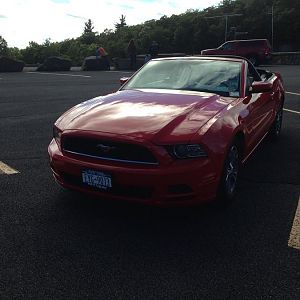 mustang show 031
