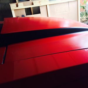 Striped the side of the cowl