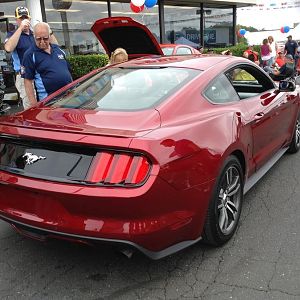 2015 EcoBoost@Sayville show 2014