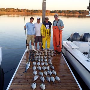 Successful Montauk trip. a ton of porgies, sea bass and one big bluefish. nonstop action.