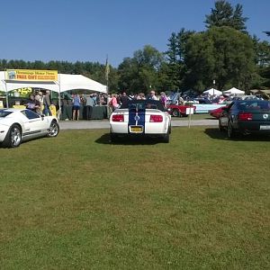 Hemmings Concours cruise-in, the Bullitt goes on display.