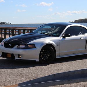 clean photo of the beast before she goes away