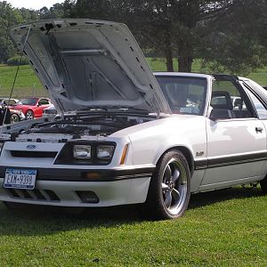 21431 10151637581143823 1828703243 n