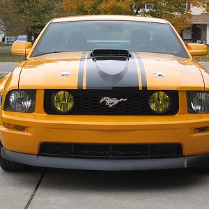 GT Yellow headlight Armor on the fogs...