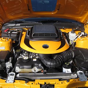 Engine compartment with Fang Performance mounted shaker...just purchased upper rad cover and extensions... c'mon spring!