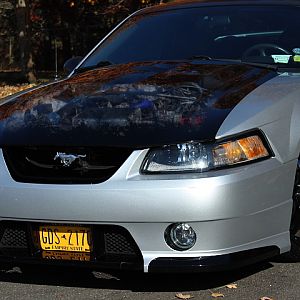 Getting my photoshop skills up