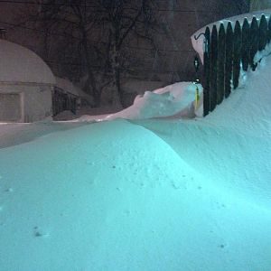 My garage and back yard