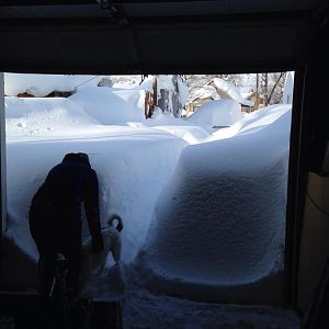 View from the garage, 11/19/2014