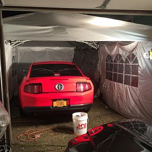 waxed, shined, prepped