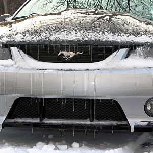 she suffered a little but not much