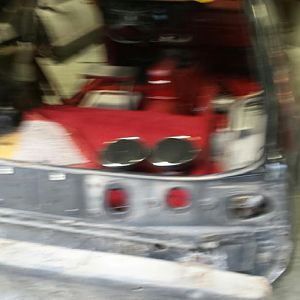 tail before stripping