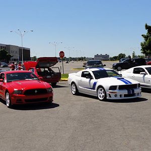 Mustang show