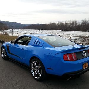 Out of hibernation 2015