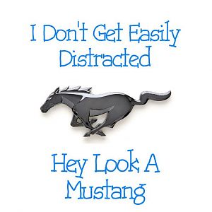 hey look a mustang