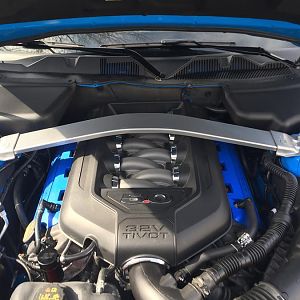 Battery and Master Cylinder covers