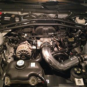 Garage photos stink! Need natural light. Come on warm weather!