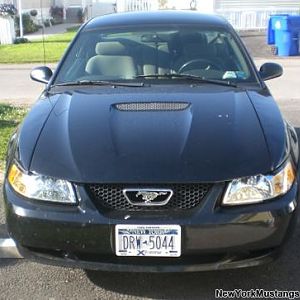 She looks ok from the front