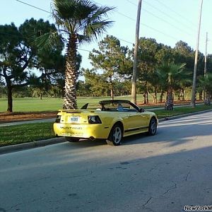 This one was used for a Tampa Bay area Performance shop's 2009 Calandar for June.