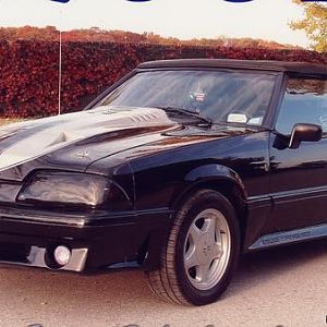 l my mustang before it got wrecked in a hit and run!