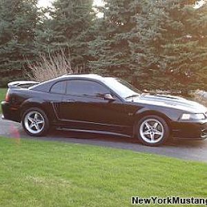 user35 pic2971 1239554287